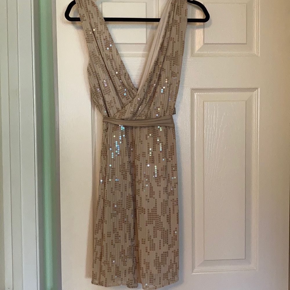 Express Tan Sequin Dress